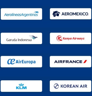 SkyTeam Alliance